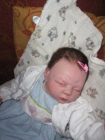 /album/fotogaleria/img-0098-jpg/