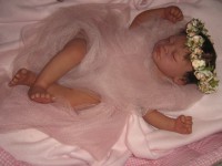 /album/fotogaleria/img-9394-jpg/